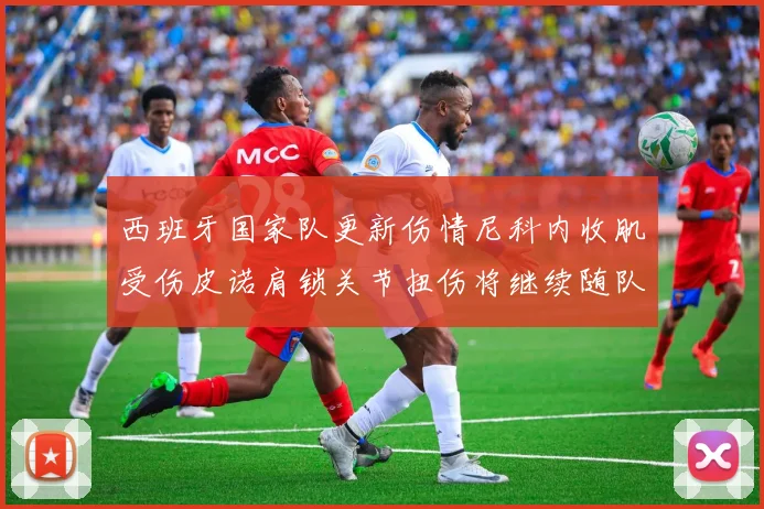 西班牙国家队更新伤情尼科内收肌受伤皮诺肩锁关节扭伤将继续随队训练