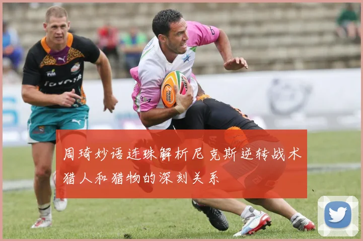 周琦妙语连珠解析尼克斯逆转战术猎人和猎物的深刻关系